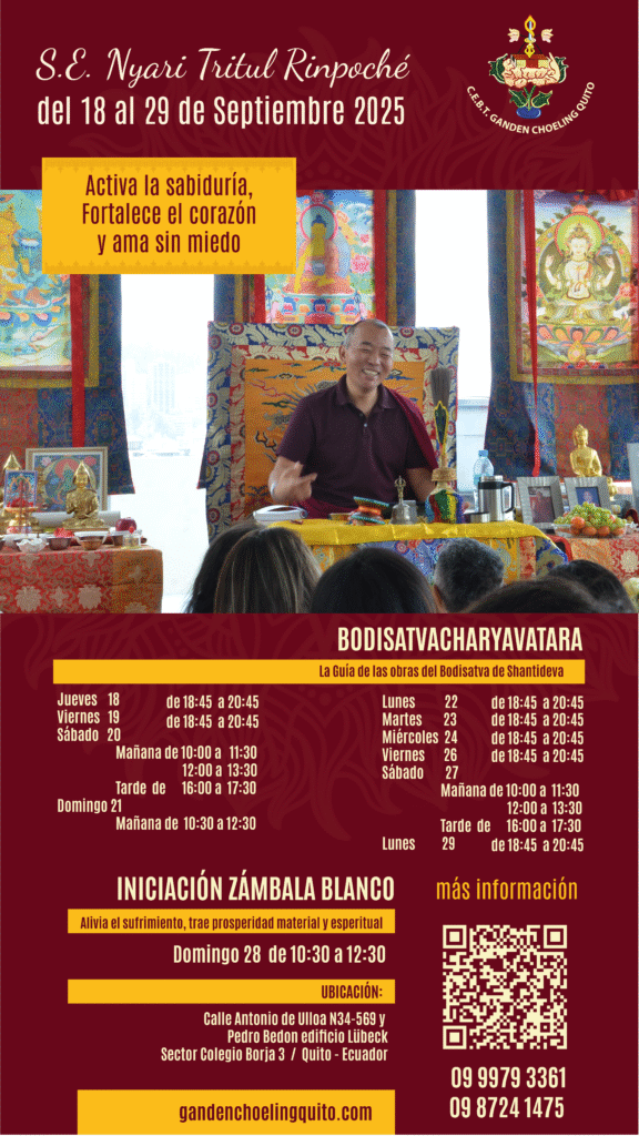 ENSEÑANZAS RIMPOCHE 2025